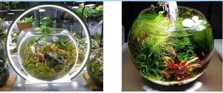 Hướng Dẫn Chọn **Đèn LED Trang Trí Bể Cá** Chuẩn Chuyên Gia