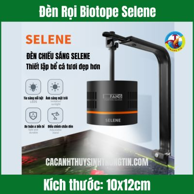 Đèn rọi Biotope Selene chuyên dụng cho bể cá thuỷ sinh, giúp cây phát triển và cá lên màu đẹp.