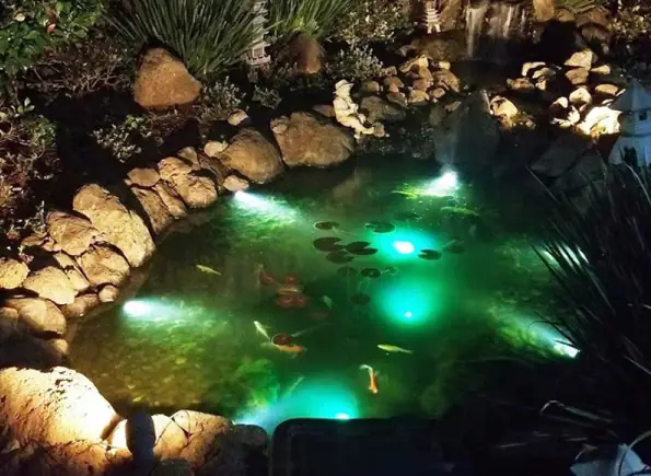 Hướng dẫn chọn mua đèn trang trí hồ cá hiệu quả