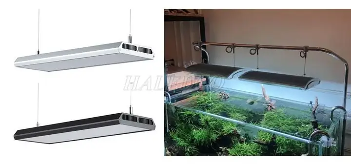 Hướng Dẫn Chi Tiết Về Đèn Treo Hồ Cá Cảnh