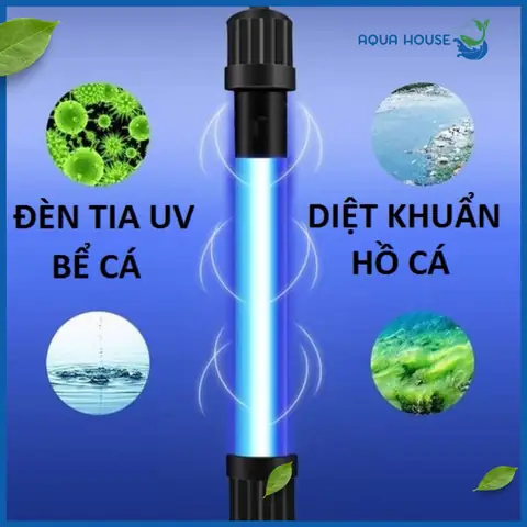 đèn uv hồ cá