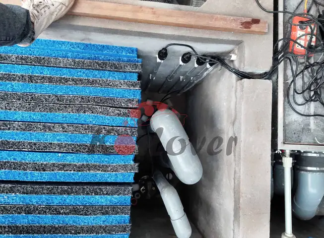Chọn công suất đèn UV phù hợp với hồ cá Koi