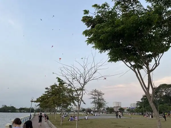6 Địa Điểm Câu Cá Tự Nhiên Ở Sài Gòn: Trải Nghiệm Thư Giãn Tuyệt Vời