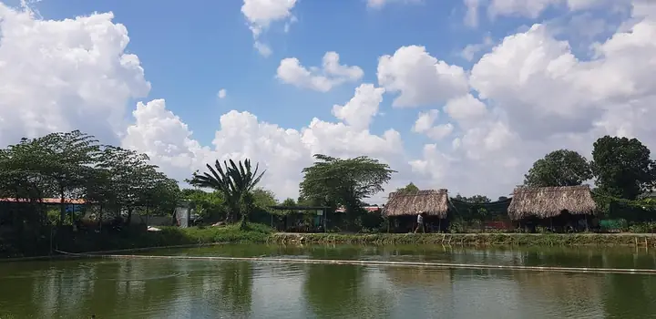 Khám phá các điểm câu cá giải trí hàng đầu tại Bình Dương
