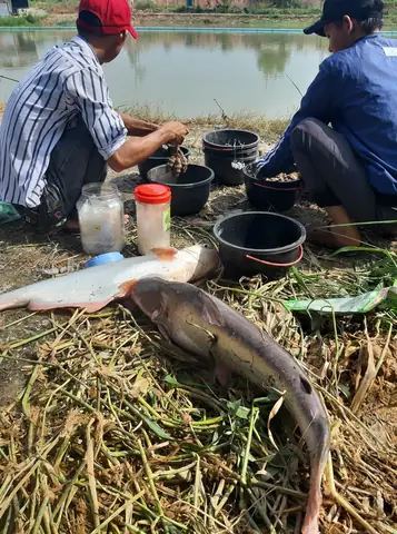 Khám phá các điểm câu cá giải trí hàng đầu tại Bình Dương