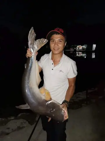 Khám phá các điểm câu cá giải trí hàng đầu tại Bình Dương