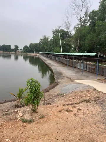 Khám phá các điểm câu cá giải trí hàng đầu tại Bình Dương