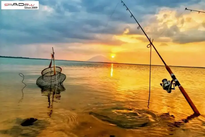 Khám Phá 5 Điểm Câu Cá Tự Nhiên Hấp Dẫn Ở Bình Dương