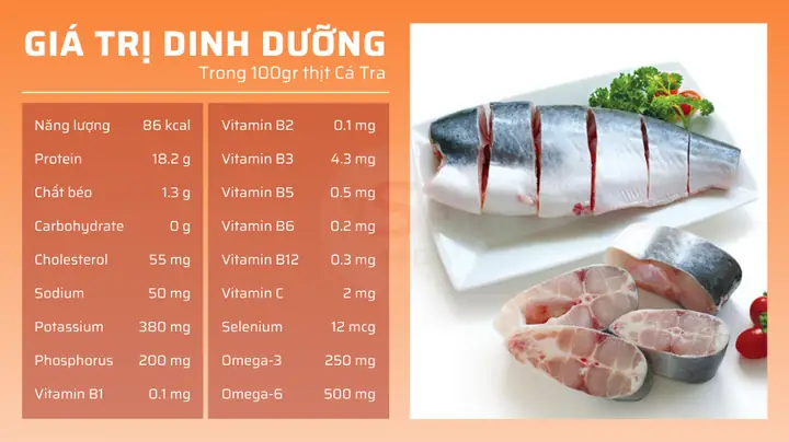Dinh Dưỡng Trong Cá Cảnh: Giải Mã Giá Trị & Tối Ưu Nguồn Thức Ăn