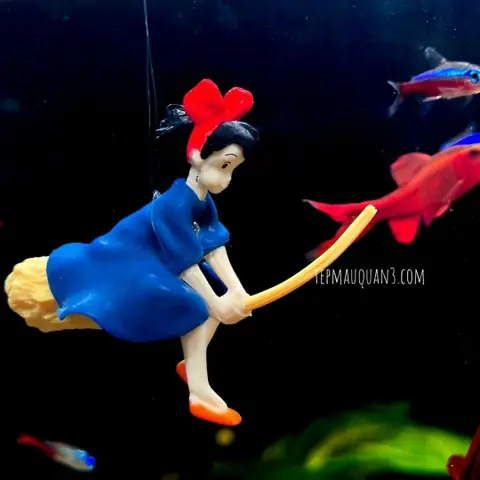 Khám phá thế giới đồ chơi bể cá cảnh: Chọn lựa & Bố trí thông minh