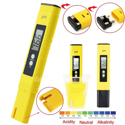 Hướng Dẫn Chi Tiết Về **Độ pH Cho Cá Bảy Màu**