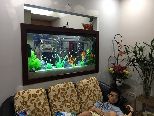 Dọn bể cá cảnh định kỳ giúp cá khỏe mạnh và môi trường nước trong sạch
