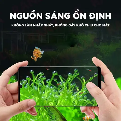 Dụng Cụ Vệ Sinh Đáy Bể Cá: Hướng Dẫn Chọn Và Sử Dụng