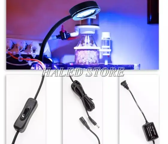 Giá Bể Cá Nước Mặn Bao Nhiêu? Phân Tích Chi Tiết Chi Phí
