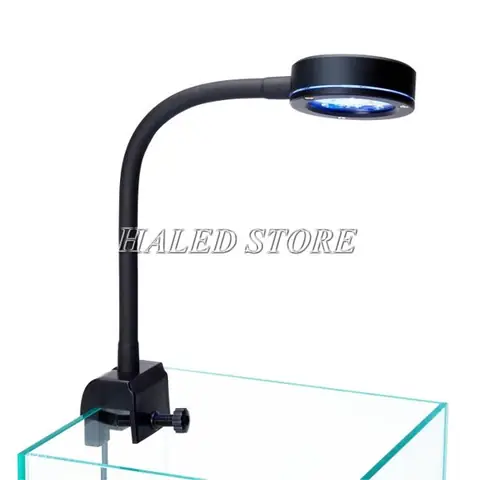 Giá Bể Cá Nước Mặn Bao Nhiêu? Phân Tích Chi Tiết Chi Phí Giá Bể Cá Nước Mặn Bao Nhiêu? Phân Tích Chi Tiết Chi Phí