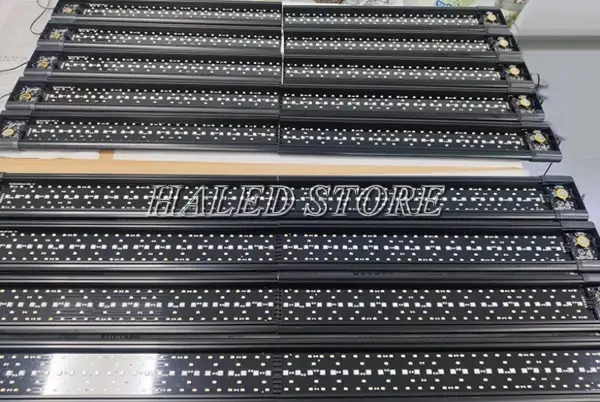 Giá Bể Cá Nước Mặn Bao Nhiêu? Phân Tích Chi Tiết Chi Phí Giá Bể Cá Nước Mặn Bao Nhiêu? Phân Tích Chi Tiết Chi Phí