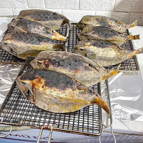 giá cá bò hòm
