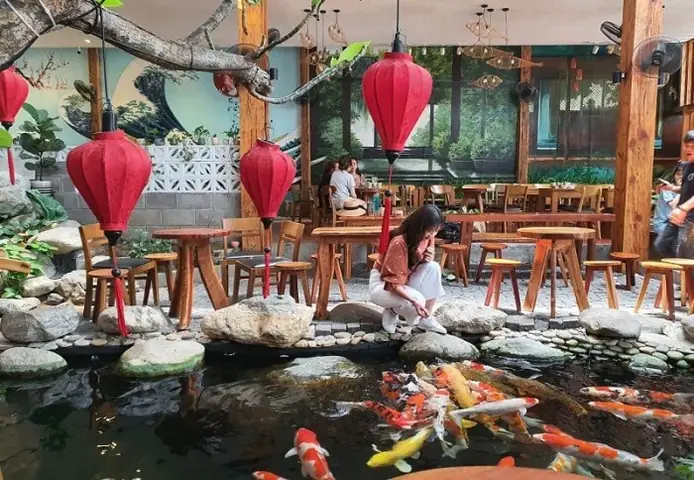 Bảng Giá Cá Koi Đà Nẵng Mới Nhất & Hướng Dẫn Chọn Mua