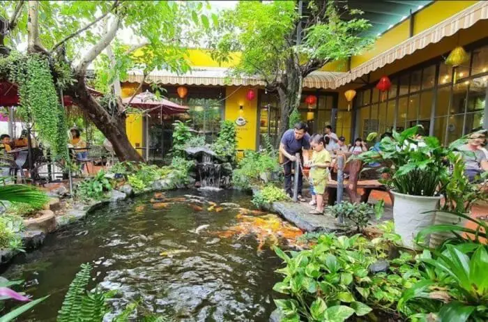 Bảng Giá Cá Koi Đà Nẵng Mới Nhất & Hướng Dẫn Chọn Mua