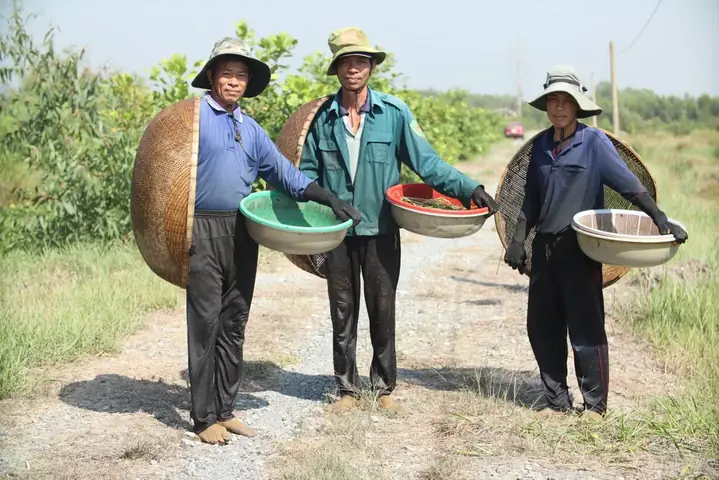 Giá Cá Lia Thia Halfmoon: Chi Tiết Từ A Đến Z