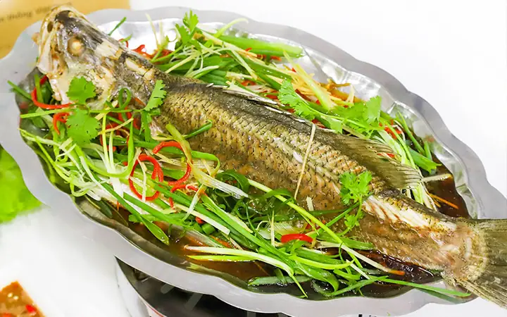 Giá Cá Mú Đá: Cập Nhật & Yếu Tố Ảnh Hưởng Chi Tiết