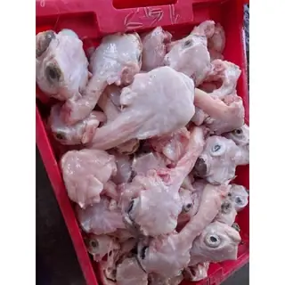 Giá Cá Nóc Nhím: Các Yếu Tố Ảnh Hưởng Và Lưu Ý Quan Trọng