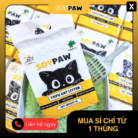 Giá Cá Phi Phụng: Yếu Tố Quyết Định & Kinh Nghiệm Mua