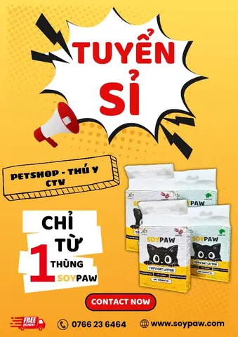 Giá Cá Phi Phụng: Yếu Tố Quyết Định & Kinh Nghiệm Mua