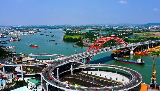 Cập Nhật Giá Cá Rồng Tại Hải Phòng Và Kinh Nghiệm Chọn Mua