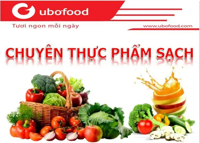 Giá Cá Tầm Hải Phòng: Bảng Giá Chi Tiết & Yếu Tố Ảnh Hưởng