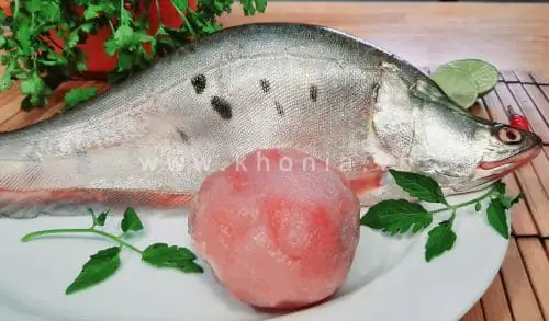 2. Cá thác lác có mấy loại?