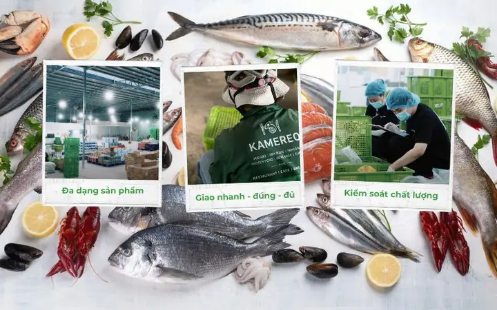 Giá Cá Thu Ngừ Bao Nhiêu? Phân Tích Chi Tiết & Hướng Dẫn Mua