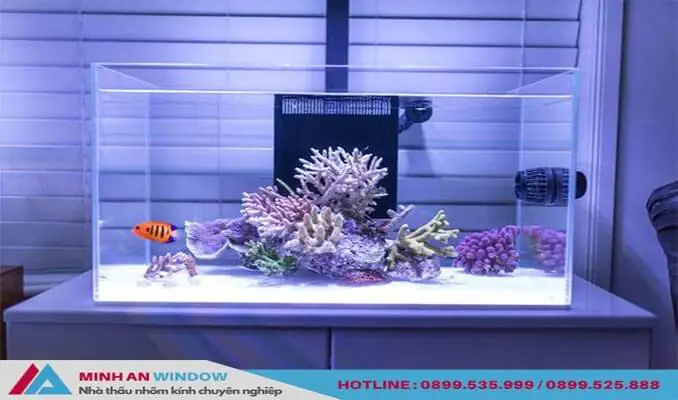Hướng Dẫn Chi Tiết Về **Giá Kính Làm Bể Cá** Cảnh Và Các Yếu Tố Quyết Định