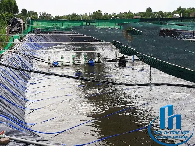 Bảng Giá Làm Hồ Cá: Yếu Tố Ảnh Hưởng và Dự Toán Chi Tiết