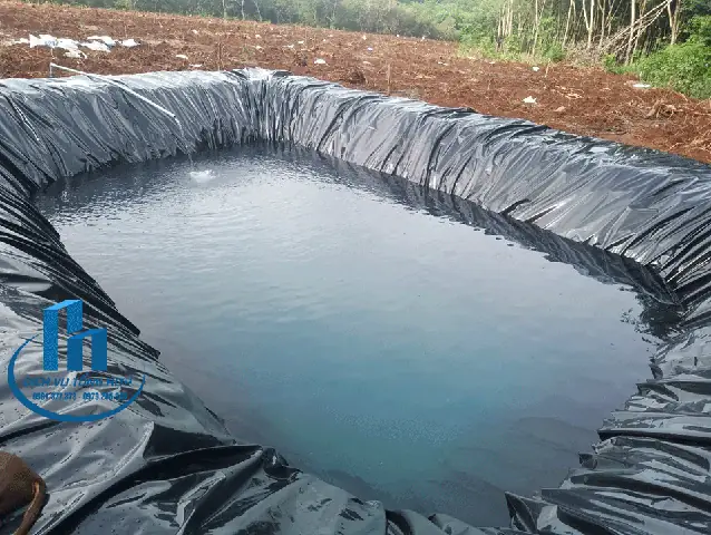 Bảng Giá Làm Hồ Cá: Yếu Tố Ảnh Hưởng và Dự Toán Chi Tiết