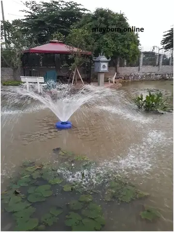 Giá Máy Bơm Tạo Oxy Ao Cá: Hướng Dẫn Chi Tiết & So Sánh