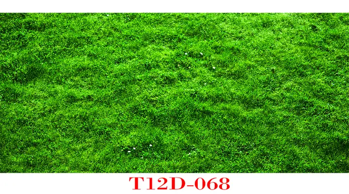 Giấy Dán Bể Cá 3D: Khám Phá Thế Giới Sống Động Dưới Nước