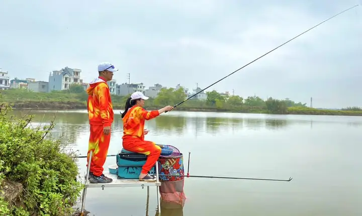 Giờ Cá Đi Ăn: Hiểu Rõ Thói Quen Và Tối Ưu Hóa Sức Khỏe Cá Cảnh