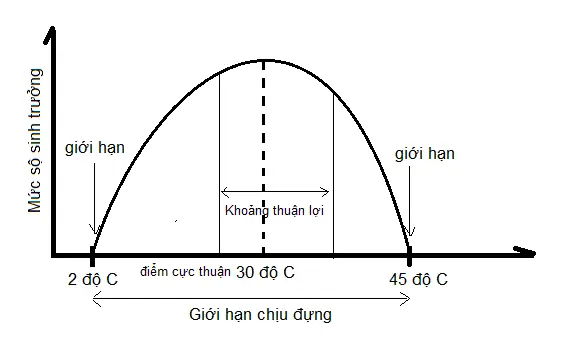 Giới hạn Sinh thái Cá Chép: Nhiệt độ, pH, Oxy Hòa Tan