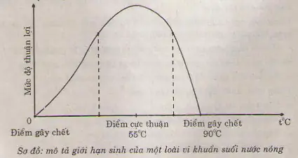 Giới hạn Sinh thái Cá Chép: Nhiệt độ, pH, Oxy Hòa Tan