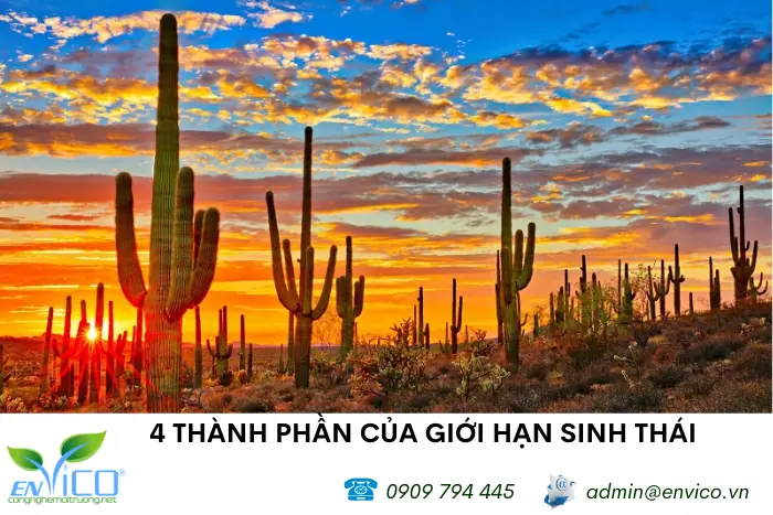 Giới Hạn Sinh Thái của Cá Rô Phi: Nhiệt Độ và Các Yếu Tố Quan Trọng Khác