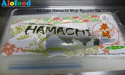 Hamachi là cá gì? Giải đáp chi tiết về loài cá cao cấp này