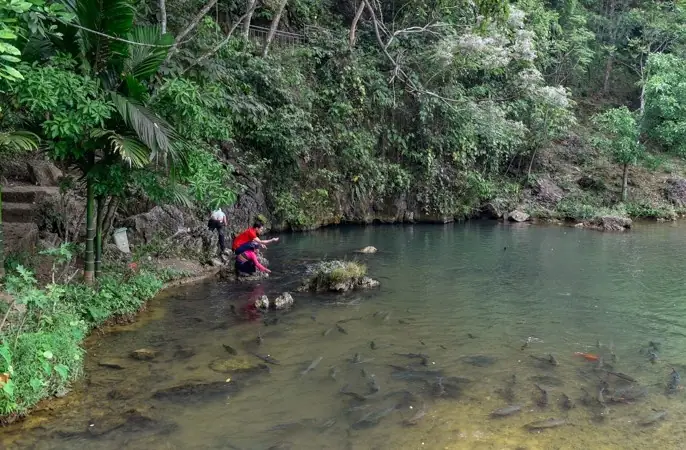 Kỳ bí hang cá thần ở Văn Nho
