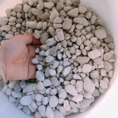 Hướng Dẫn Toàn Diện Về Hệ Thống Lọc Bể Cá Cảnh