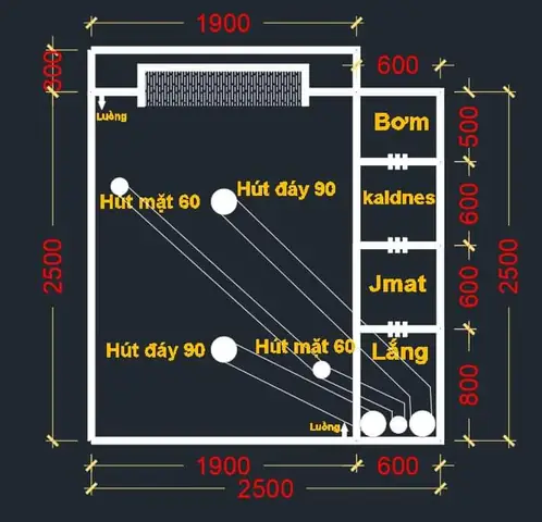 hệ thống lọc hồ cá koi