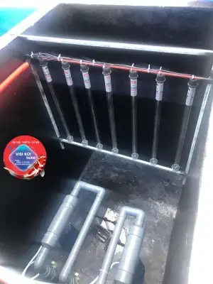 hệ thống lọc hồ cá koi