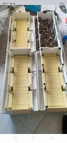 hệ thống lọc hồ cá koi