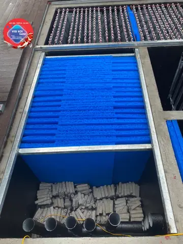 hệ thống lọc hồ cá koi