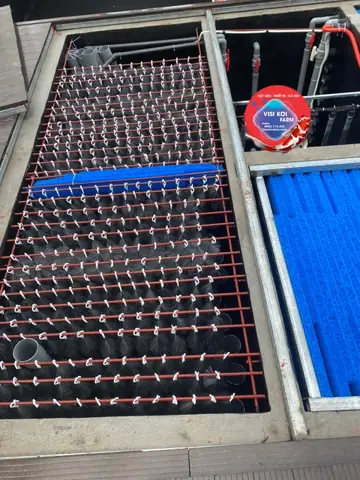 hệ thống lọc hồ cá koi