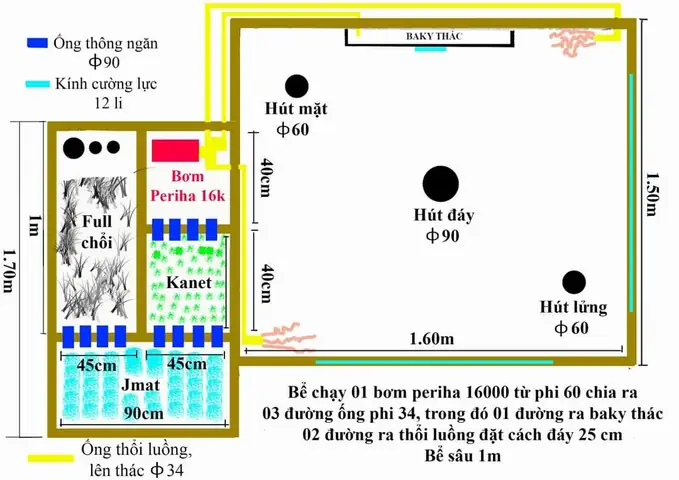 hệ thống lọc hồ cá koi